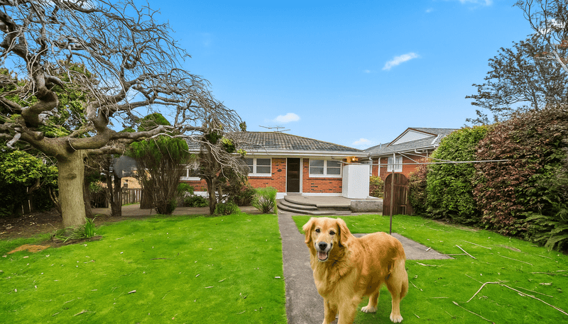 40 Chestnut Road, Papatoetoe