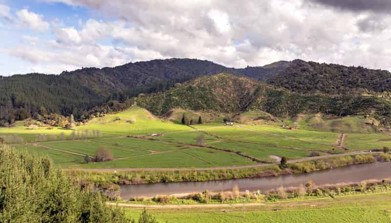 956 Otara Road, Opotiki