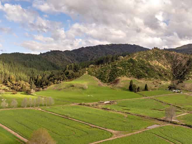 956 Otara Road, Opotiki