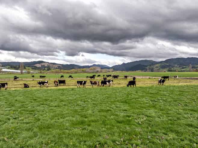  Brooklyn Farm, 126 McGinley Road, Opotiki