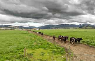  Brooklyn Farm, 126 McGinley Road, Opotiki
