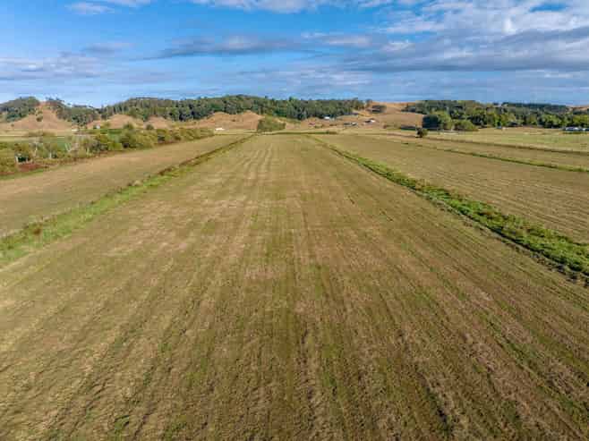 229 Wily Road, Puni