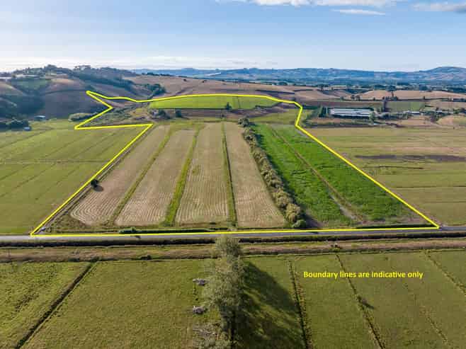 229 Wily Road, Puni