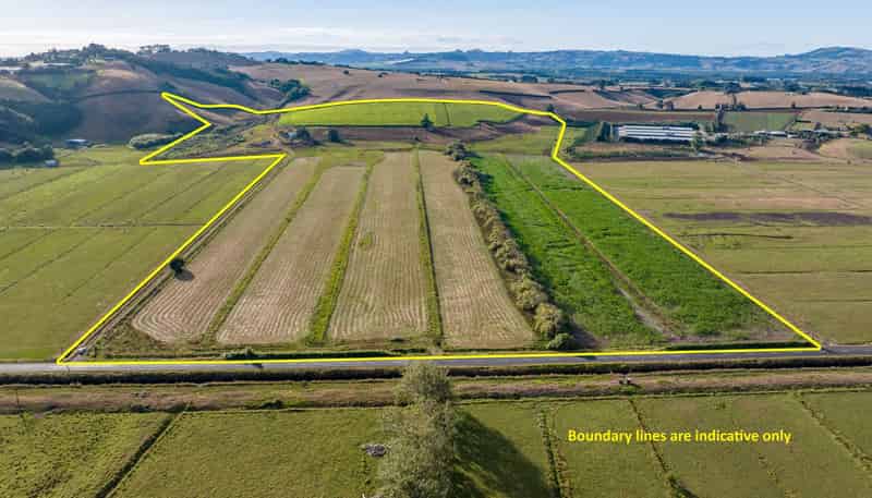 229 Wily Road, Puni