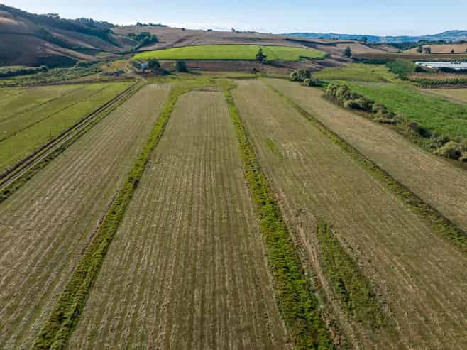 229 Wily Road, Puni