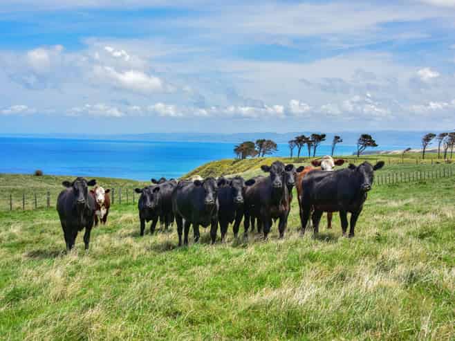 2346 Mahia East Coast Road, Mahia