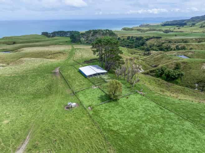 2346 Mahia East Coast Road, Mahia