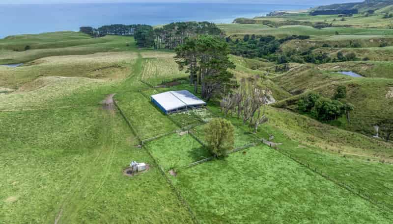 2346 Mahia East Coast Road, Mahia
