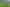 1070 Collinson Street, Pirongia