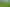 1090 Collinson Street, Pirongia
