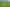 1090 Collinson Street, Pirongia
