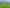 1090 Collinson Street, Pirongia