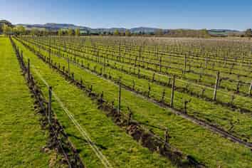 232 Omihi Road, Waipara