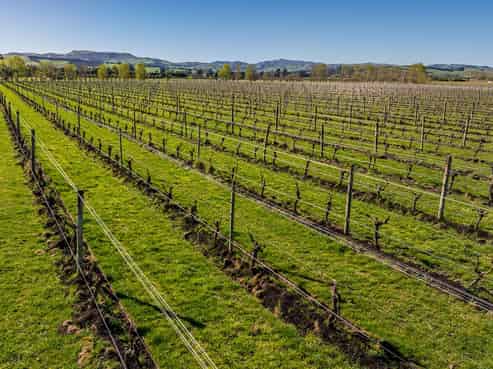 232 Omihi Road, Waipara