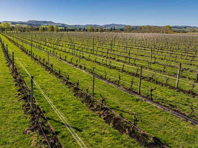 232 Omihi Road, Waipara