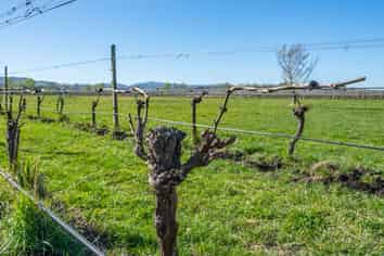 232 Omihi Road, Waipara