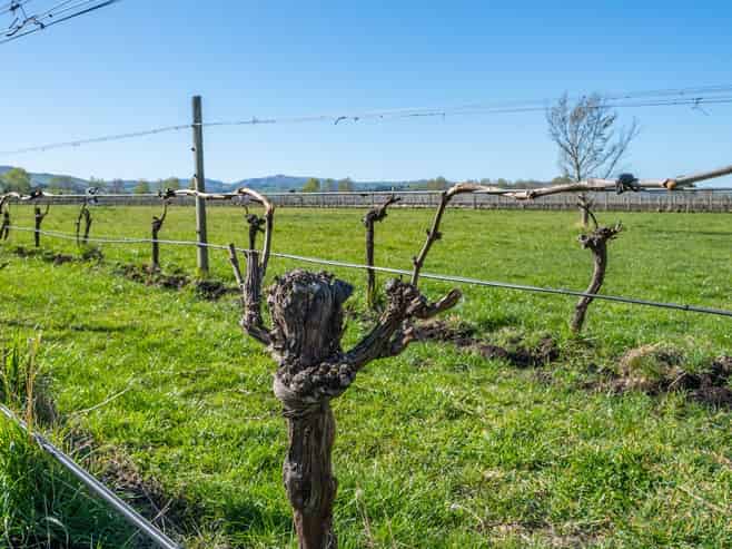 232 Omihi Road, Waipara