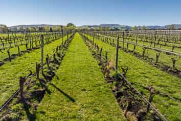 232 Omihi Road, Waipara