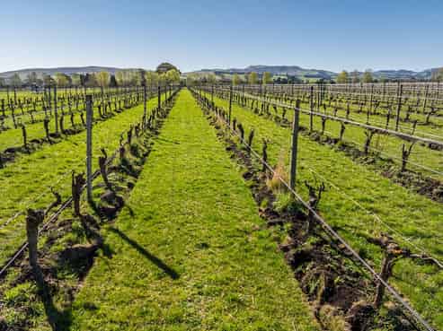 232 Omihi Road, Waipara