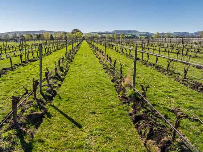 232 Omihi Road, Waipara