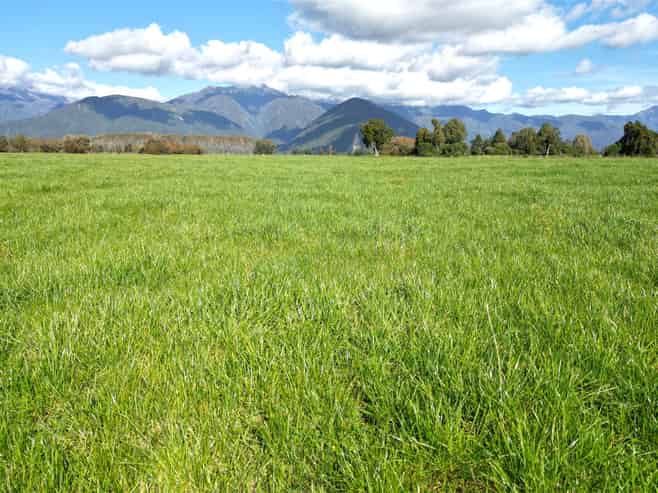  227 Municipal Road, Kowhitirangi, Hokitika