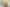 Wellington - Address withheld