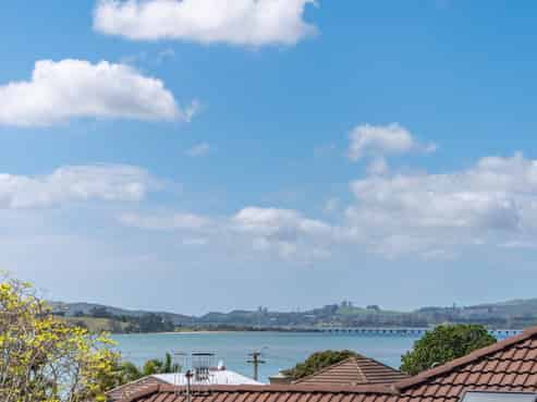 41b Harvey Street, Avenues