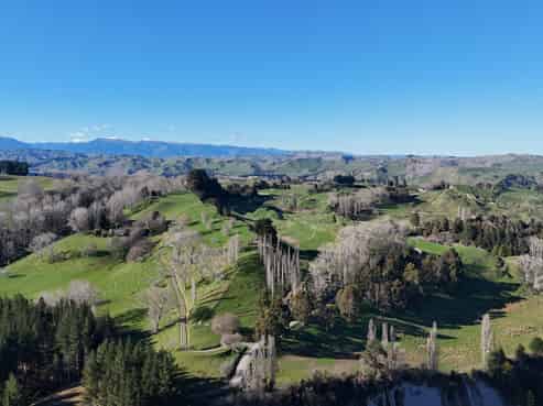 31 Tuhoe Road, Taihape