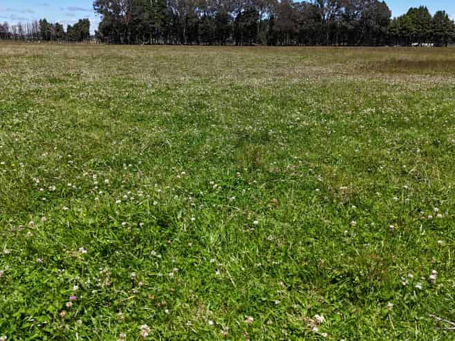 7288 Makotuku Valley Road (SH4), Raetihi