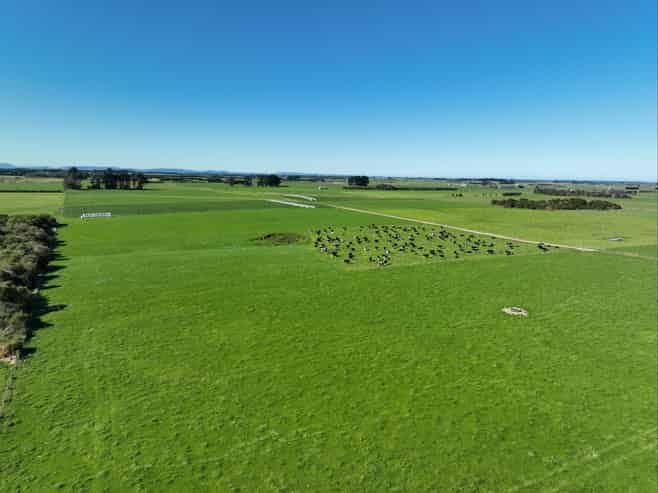  Rimu Farms, Rimu