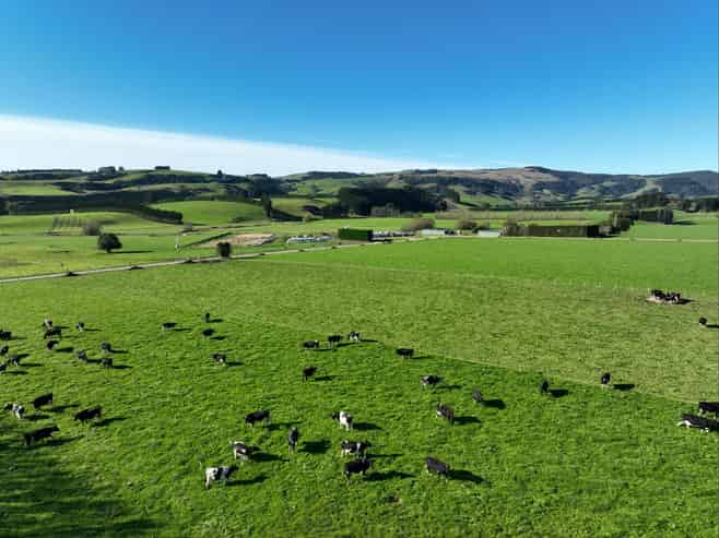  Rimu Farms, Rimu