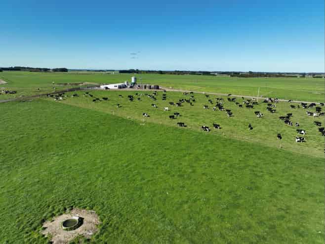  Rimu Farms, Rimu