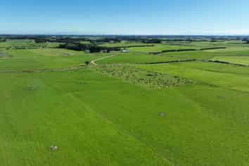 12 Shand Road, Farm 1, Longbush
