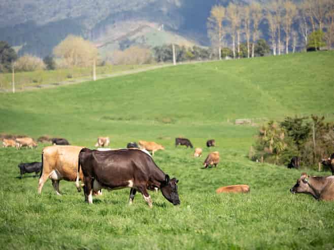 375 Waring Road, Taupiri