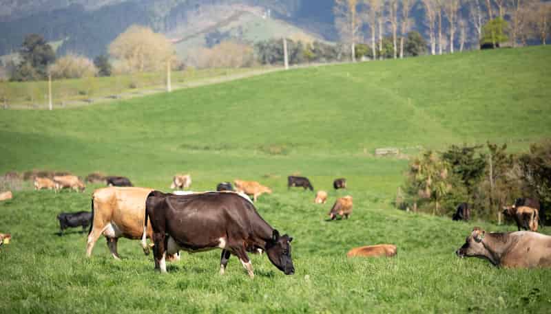 375 Waring Road, Taupiri