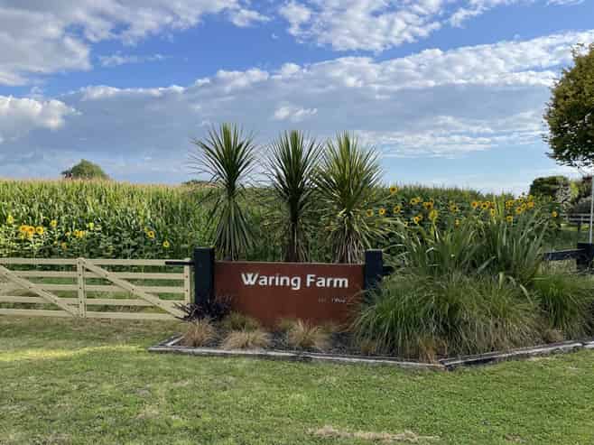 375 Waring Road, Taupiri