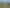 1040 Tiki Road, Coromandel