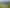 1040 Tiki Road, Coromandel