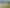 1040 Tiki Road, Coromandel