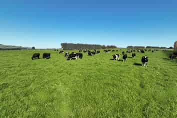 59 Oware Road, Wyndham