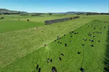 59 Oware Road, Wyndham