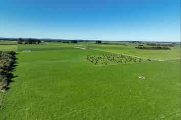 792 Rimu Road, Farm 4 , Longbush