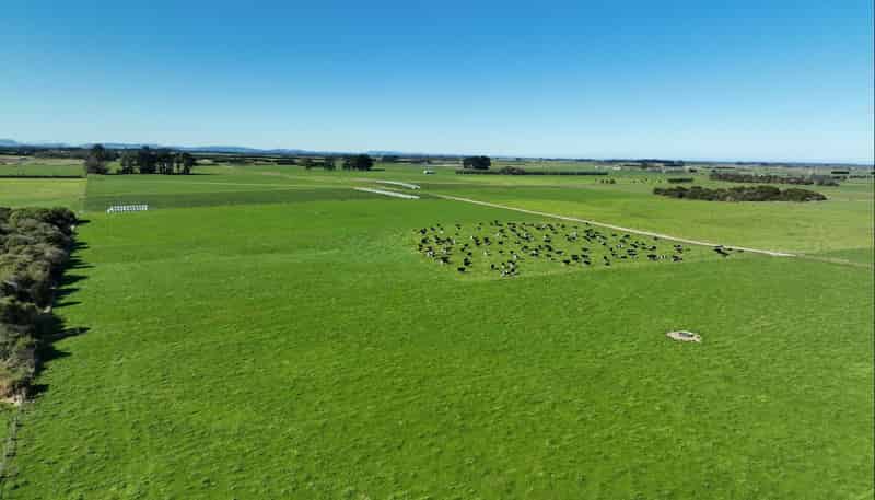 792 Rimu Road, Farm 4 , Longbush