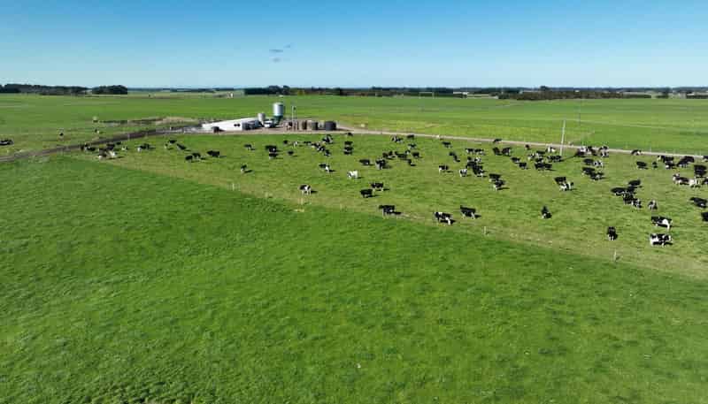 79 Tapper Road, Farm 3, Longbush