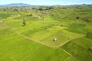 226A Buckland Road, Matamata, Matamata-Piako, Waikato