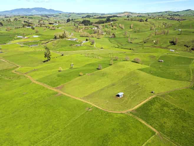 226a Buckland Road, Matamata