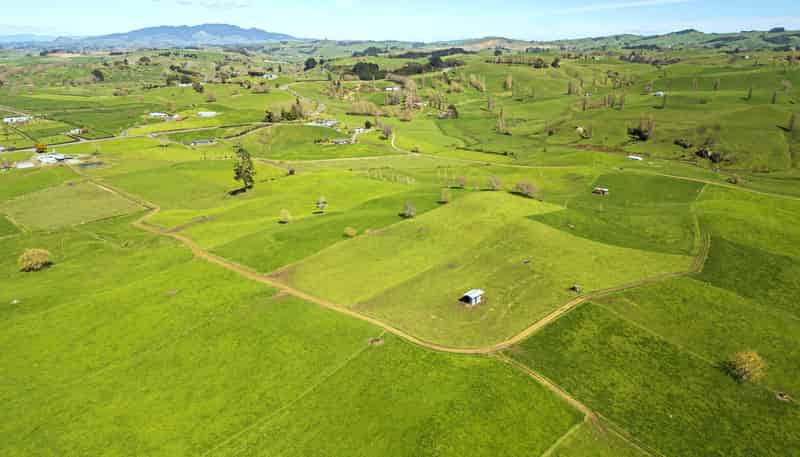 226a Buckland Road, Matamata