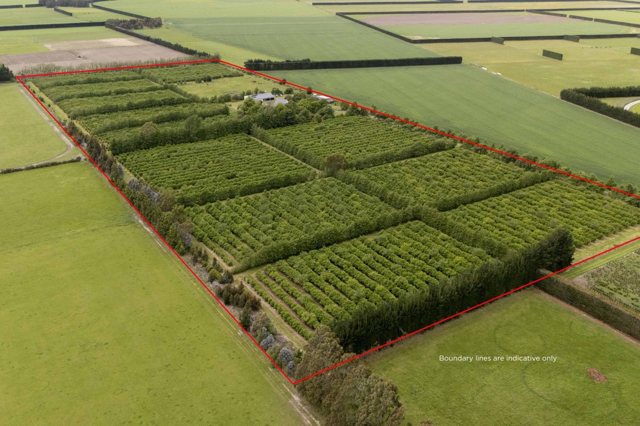 Lifestyle and established agribusiness opportunity - Widok 3