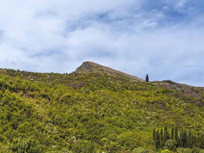 11 Cornwall Street, Arrowtown