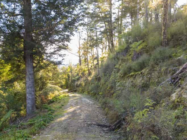 3008 Waitotara Valley Road, Waitotara